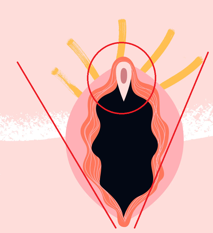 how to find clitoris